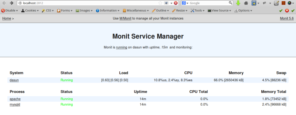Monit Web Interface : http://localhost:2812