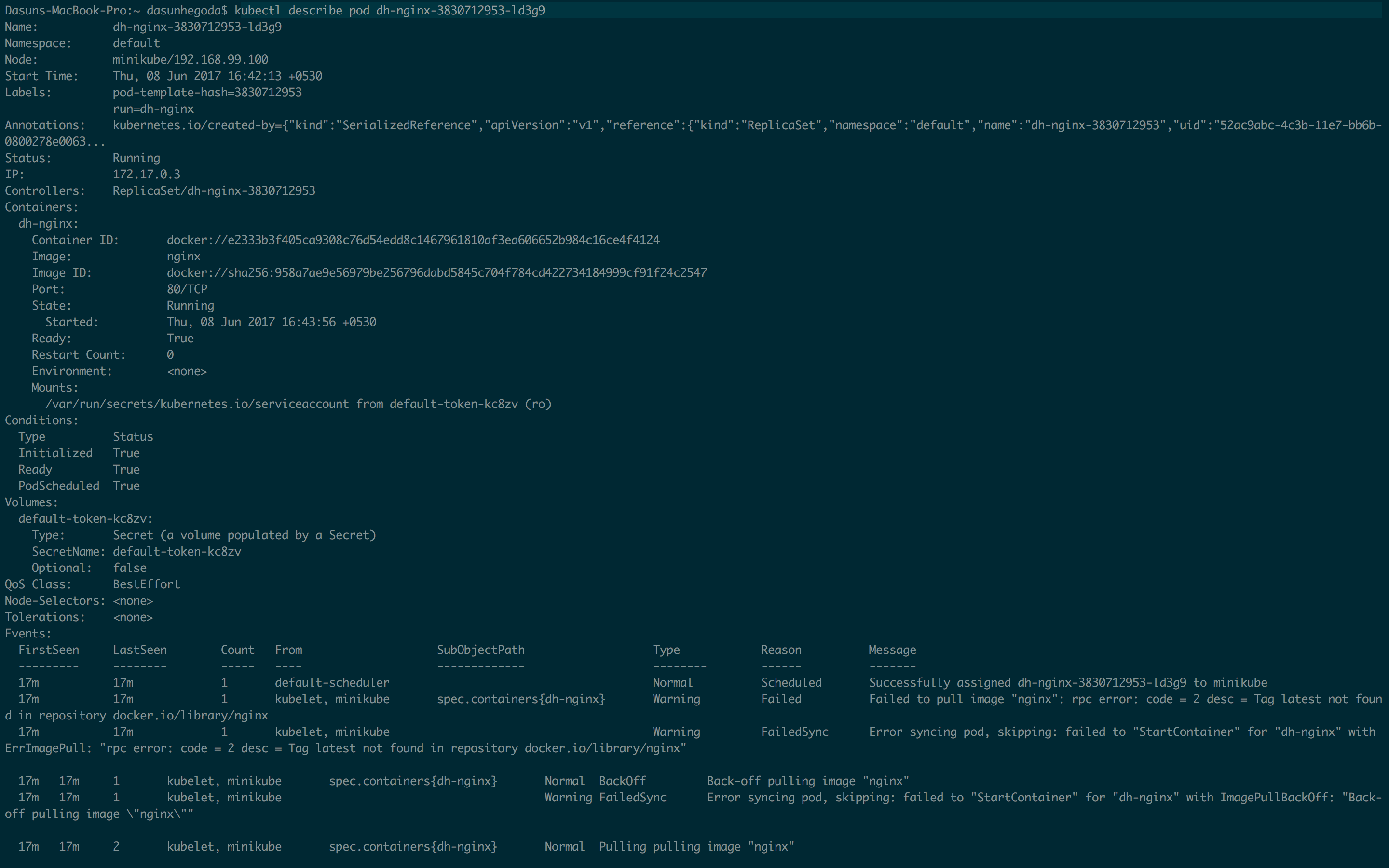 kubectl-describe-pod-dasun-hegoda