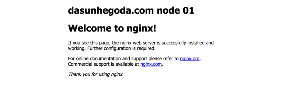nginx node 01